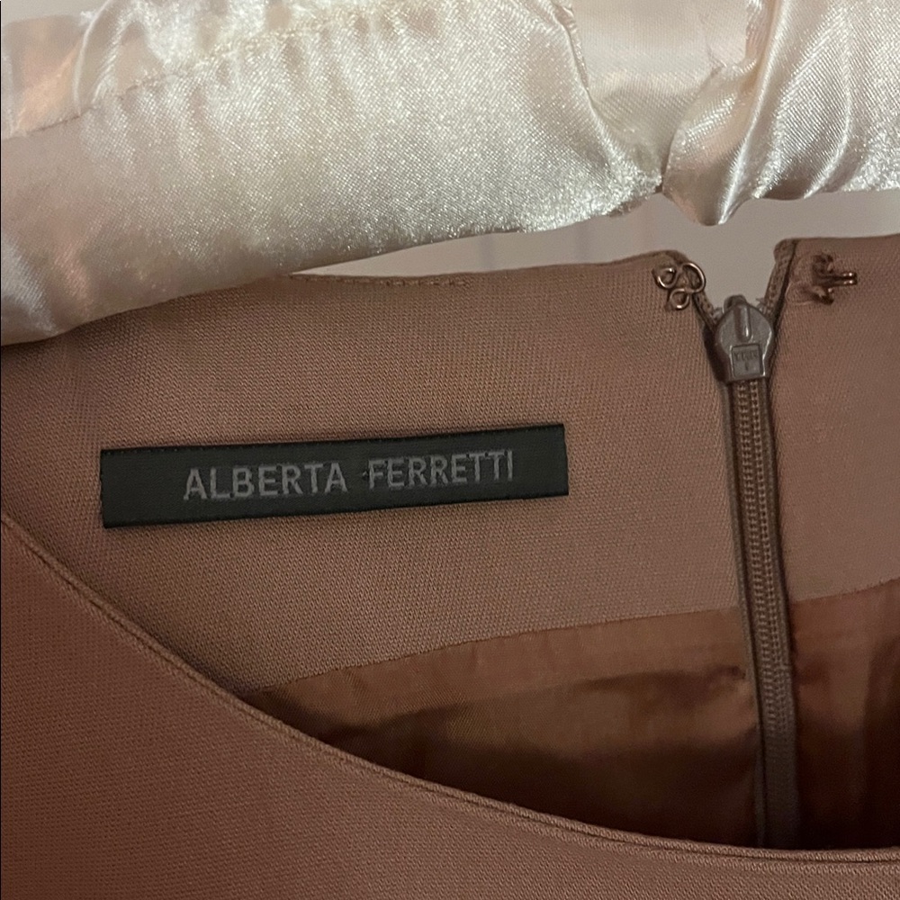 Alberta Ferretti Tan Long Sleeve Dress with mink Fur Trim - Picture 5 of 6